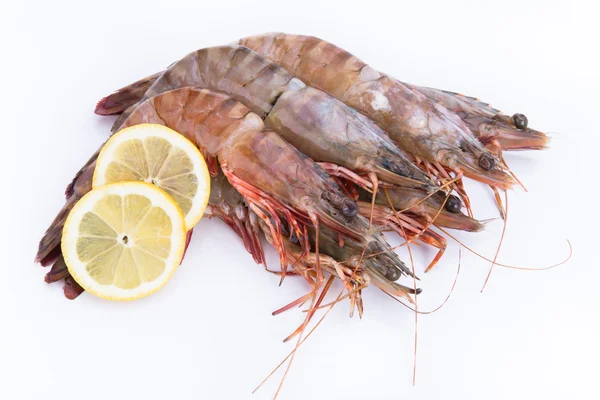 बड़ा ताजा बाघ prawns — स्टॉक फ़ोटो, इमेज