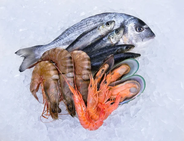 Свіжі морепродукти на льоду — стокове фото