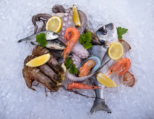 Fresh seafood on ice — Stock Photo, Image