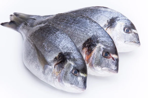 Свежие рыбы Дорадо — стоковое фото