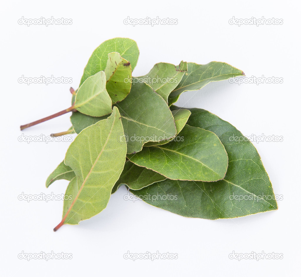 aromatic bay leaves