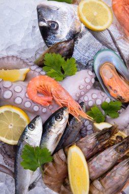 buz üstünde taze deniz ürünleri