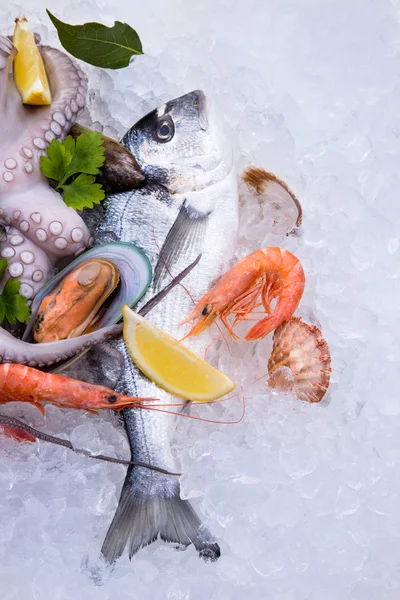 Seafood segar di atas es — Stok Foto
