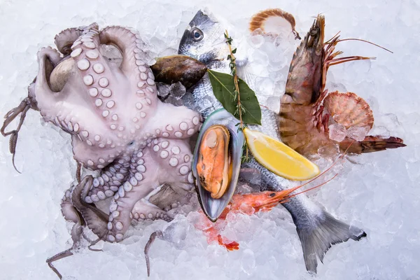 Fresh seafood on ice — Stock Photo, Image