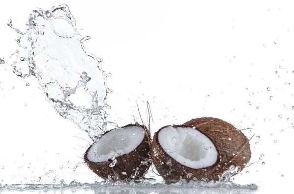 Kokosnüsse mit Wasserspritzer — Stockfoto