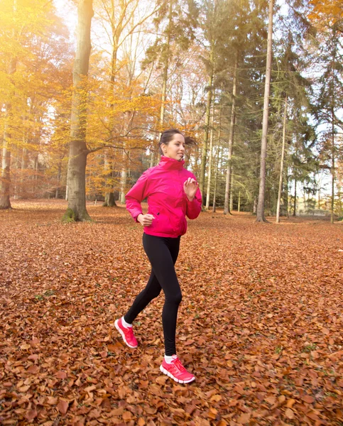 Gesund fitte Läuferin... — Stockfoto