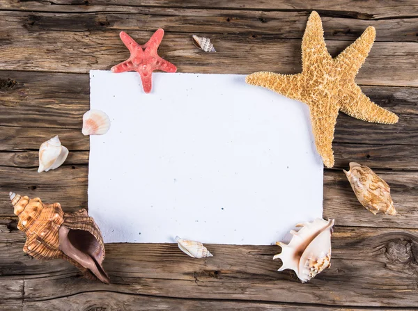 Sea shells and starfish with sand — Stock Photo, Image