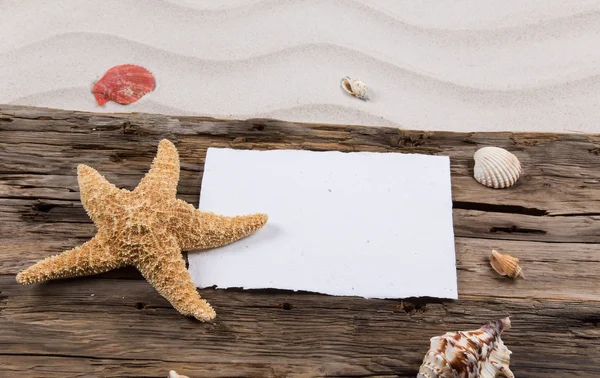 Concepto de verano con papel viejo y conchas marinas — Foto de Stock