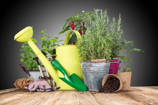Garden tools on wooden table — Stock Photo, Image