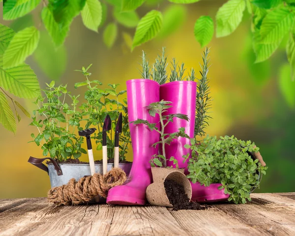 Trädgårdsredskap på träbord — Stockfoto