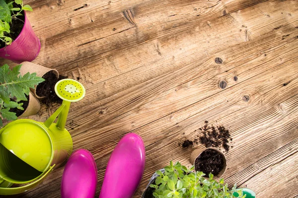 Herramientas de jardinería al aire libre y hierbas . — Foto de Stock