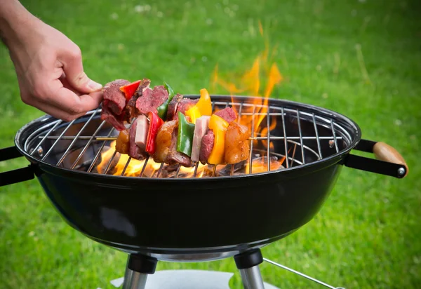 Leckere Spieße auf dem Grill — Stockfoto