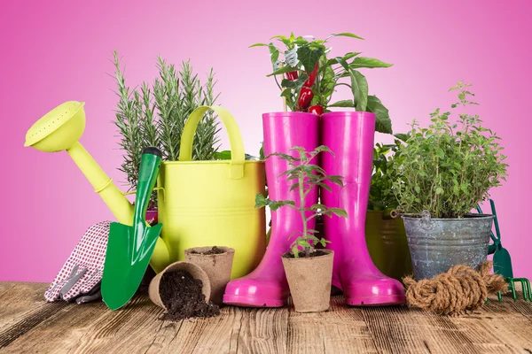 Tuingereedschap op houten tafel. — Stockfoto