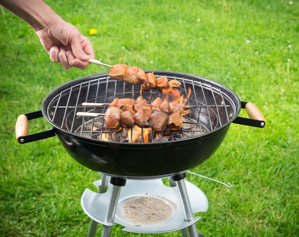 Deliciosas brochetas en la parrilla . —  Fotos de Stock