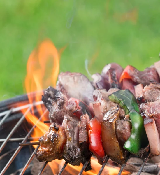 Chutné špízy na grilu. — Stock fotografie