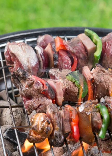 Deliciosas brochetas en la parrilla . — Foto de Stock