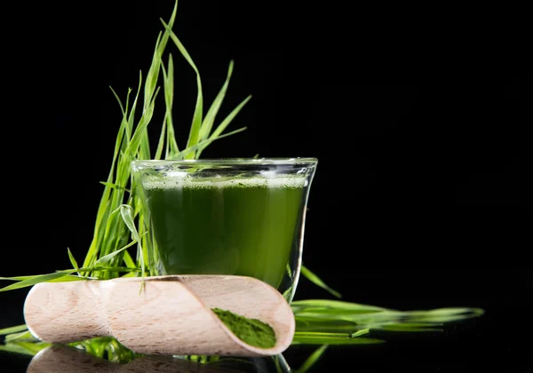 Young barley and chlorella spirulina. — Stock Photo, Image