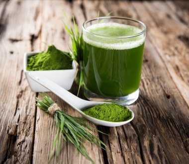 Genç arpa ve chlorella spirulina.