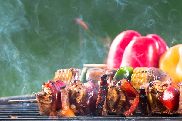 Smakelijke spiesjes op de tuin, barbecue — Stockfoto