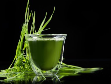 heathy yeşil superfood chlorella ve genç arpa