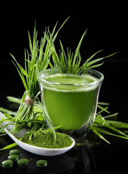 Heathy green superfood chlorella and young barley — Stock Photo, Image