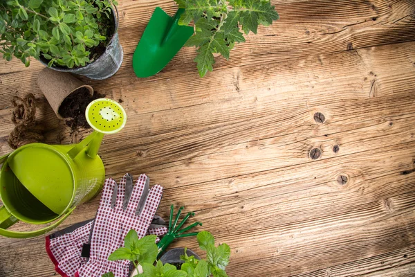 Gartengeräte auf Holztisch — Stockfoto