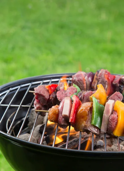 Deliciosas brochetas en la parrilla del jardín —  Fotos de Stock