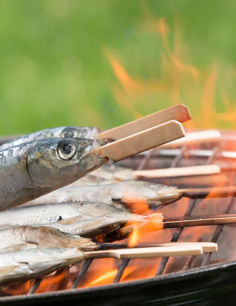 Viande savoureuse sur le gril — Photo