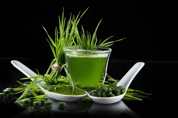 Heathy green superfood chlorella and young barley — Stock Photo, Image