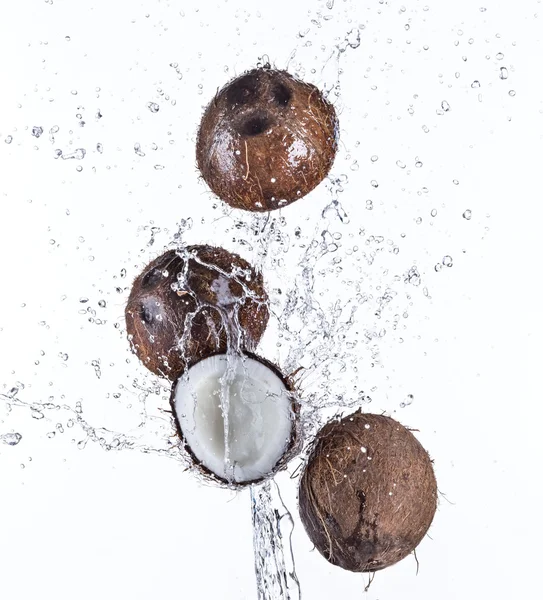 Pęknięty orzechów kokosowych z plusk wody — Zdjęcie stockowe