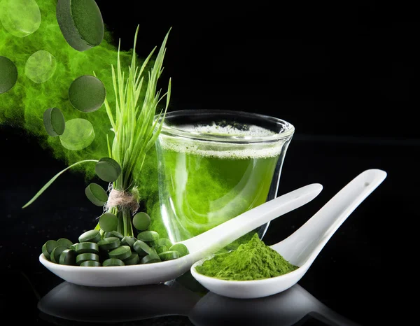 Young barley and chlorella spirulina. — Stock Photo, Image