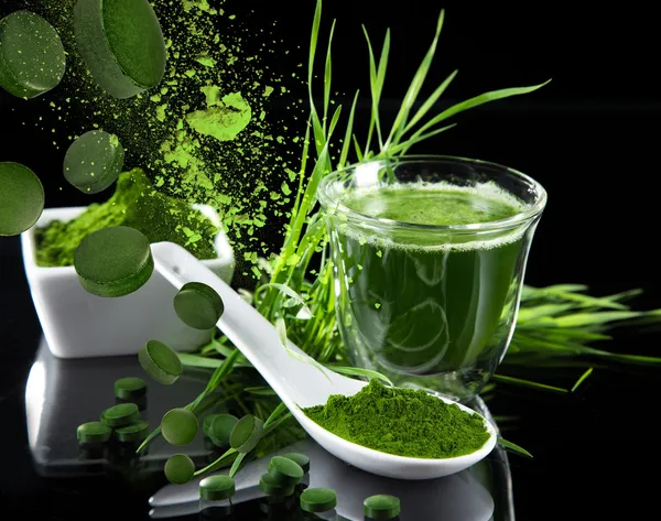 Genç arpa ve chlorella spirulina. — Stok fotoğraf