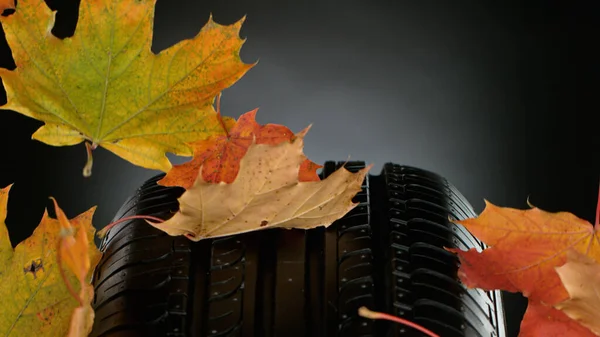 Neumático Coche Con Salpicaduras Agua Hojas Otoño Aislado Sobre Fondo —  Fotos de Stock