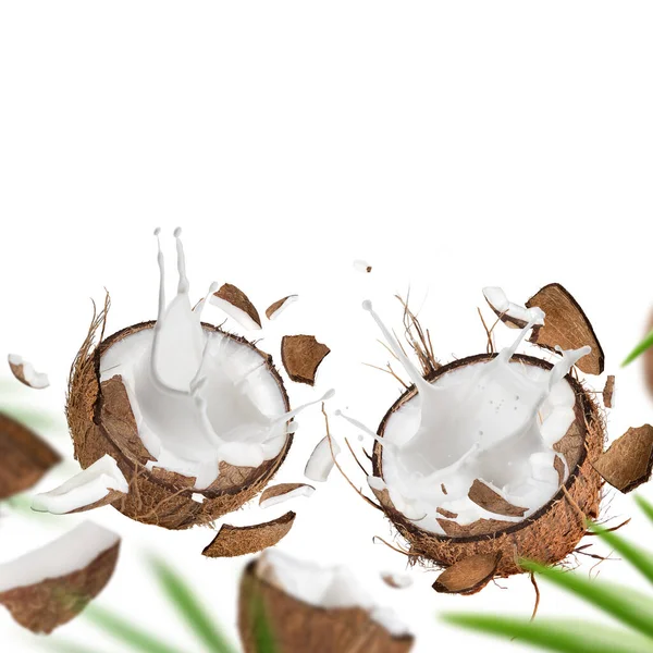 Peças de coco voando no ar. — Fotografia de Stock