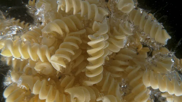 Falling uncooked italian pasta Fusilli into water. — Stock Photo, Image