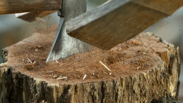 Freeze Motion Chopping Wooden Logs Axe — Stock Photo, Image