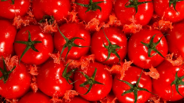 Freeze Motion Shot Splashing Fresh Tomatoes Close — Fotografia de Stock