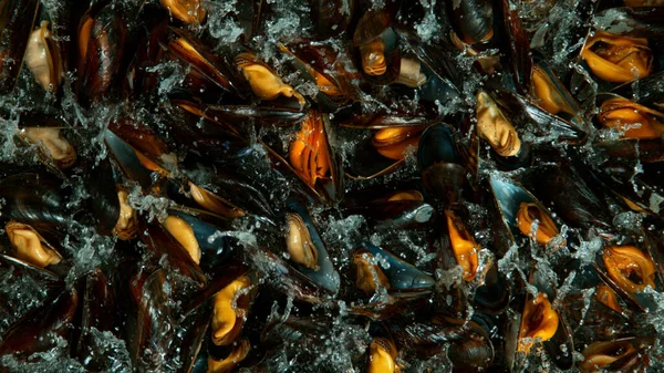 Caída Los Mejillones Agua Fondo Negro Tiro Superior —  Fotos de Stock