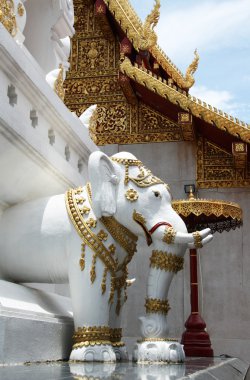 Tayland Budist tapınağı fil heykeli