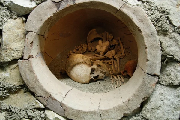 Skull and bones in ancient burial jar — Stock Photo, Image