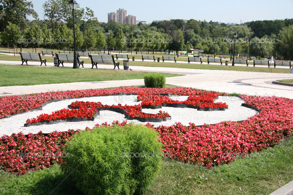 City park in summertime