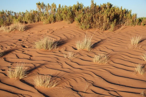 Coucher de soleil dans les dunes de sable — Photo