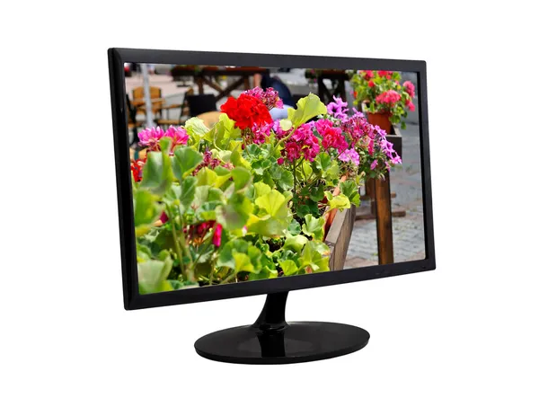 Flor em um monitor — Fotografia de Stock