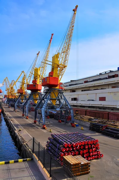 Tower cranes — Stock Photo, Image