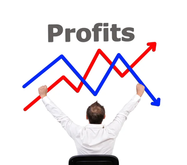 Concetto di profitti — Foto Stock