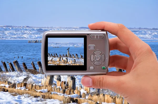 Fotograferen van de natuur — Stockfoto