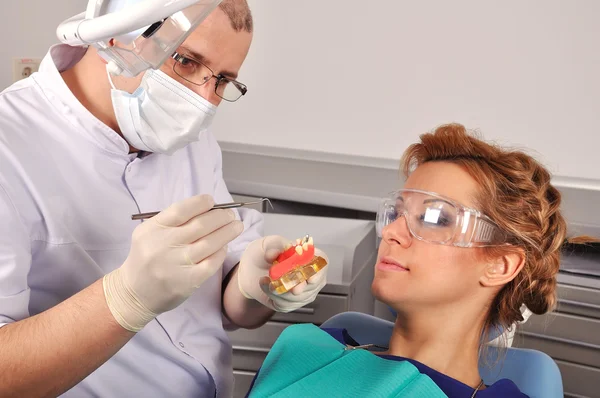 Dentista mostra mascella — Foto Stock