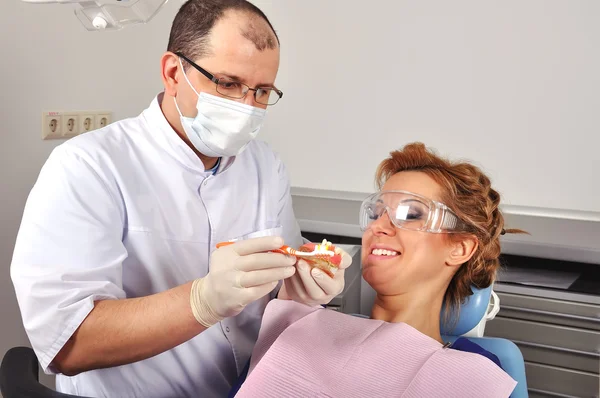 Dentista mostra modello mascella — Foto Stock