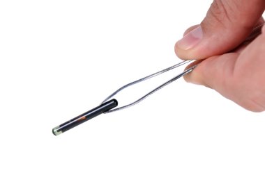 cımbız üzerinde hayvan implant