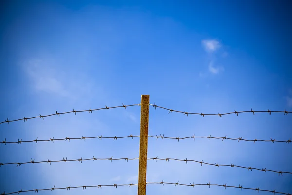 Rostiger Stacheldraht vor blauem Himmel. — Stockfoto